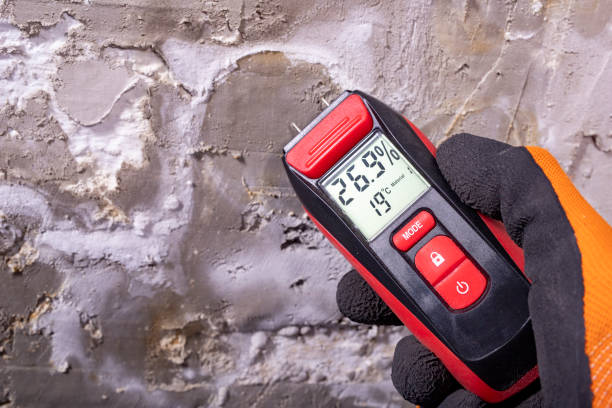 Best Post-Remediation Services in Vardaman, MS